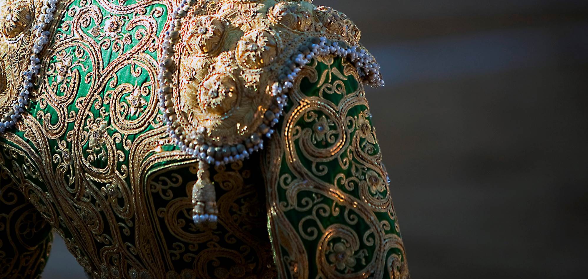 España vista de espalda de un torero